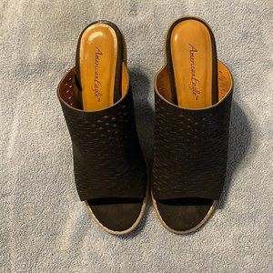 American Eagle Slide